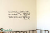 Little Boys Should Never Be Sent To Bed Peter Pan Vinyl Sticker Decals #1623